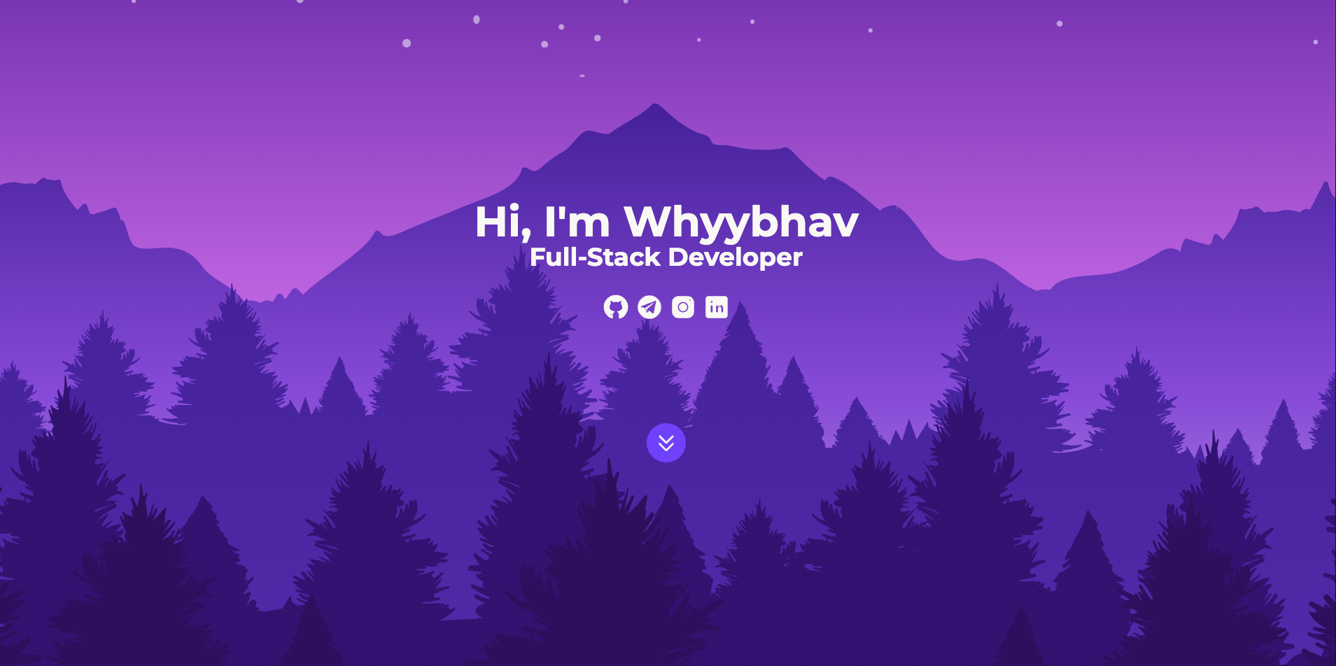 Developer Portfolio screenshot